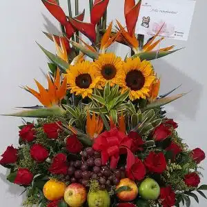 FRUT-02