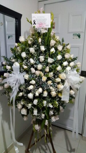 LUZ ETERNA