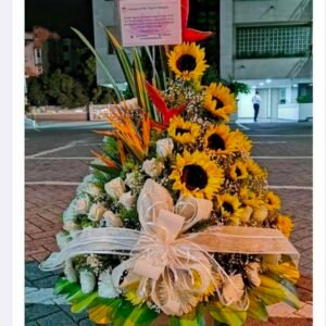 Ramos Funebres Envigado