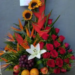 FRUTERO2