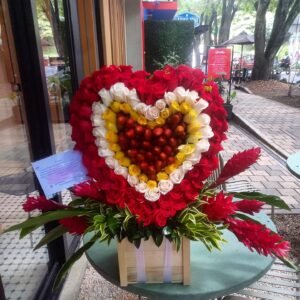 CORAZON-FR