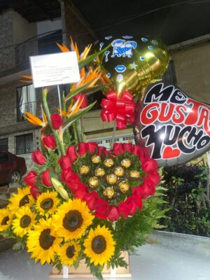 CORAZON-1