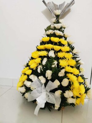LOTOF1